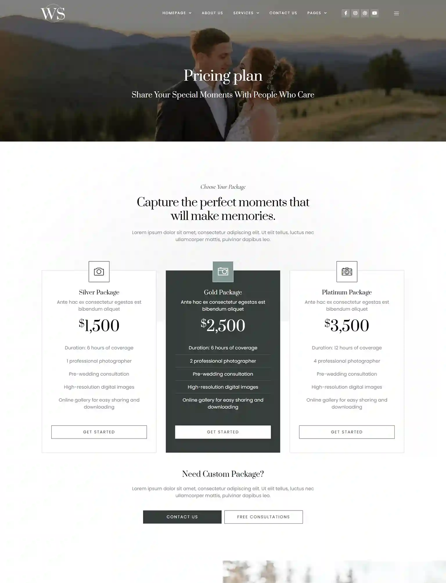 jasa website & seo